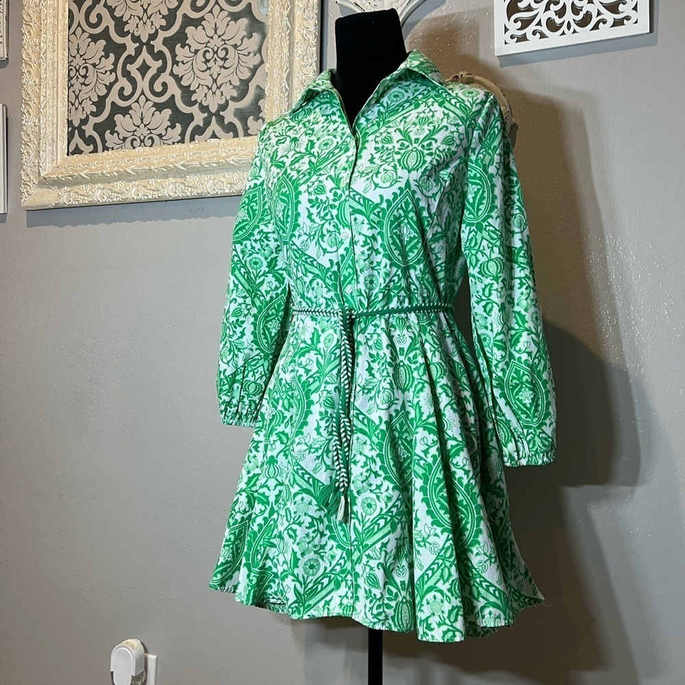 Galita Green and White Paisley Button Up Dress - Picture 6 of 10
